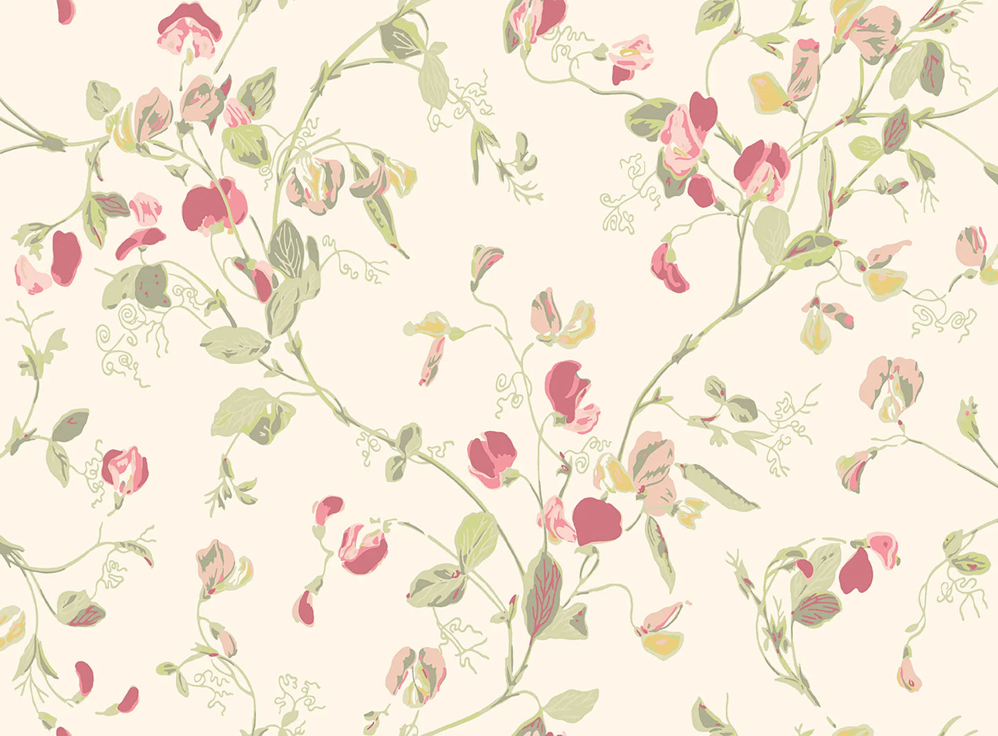 Sweet Pea