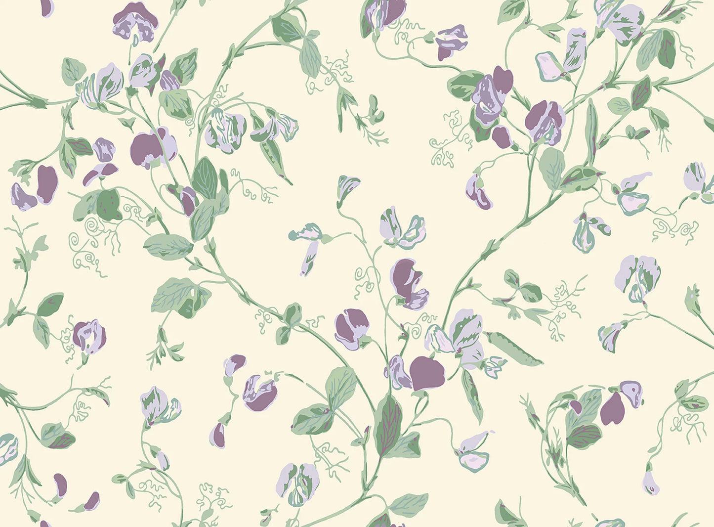 Sweet Pea