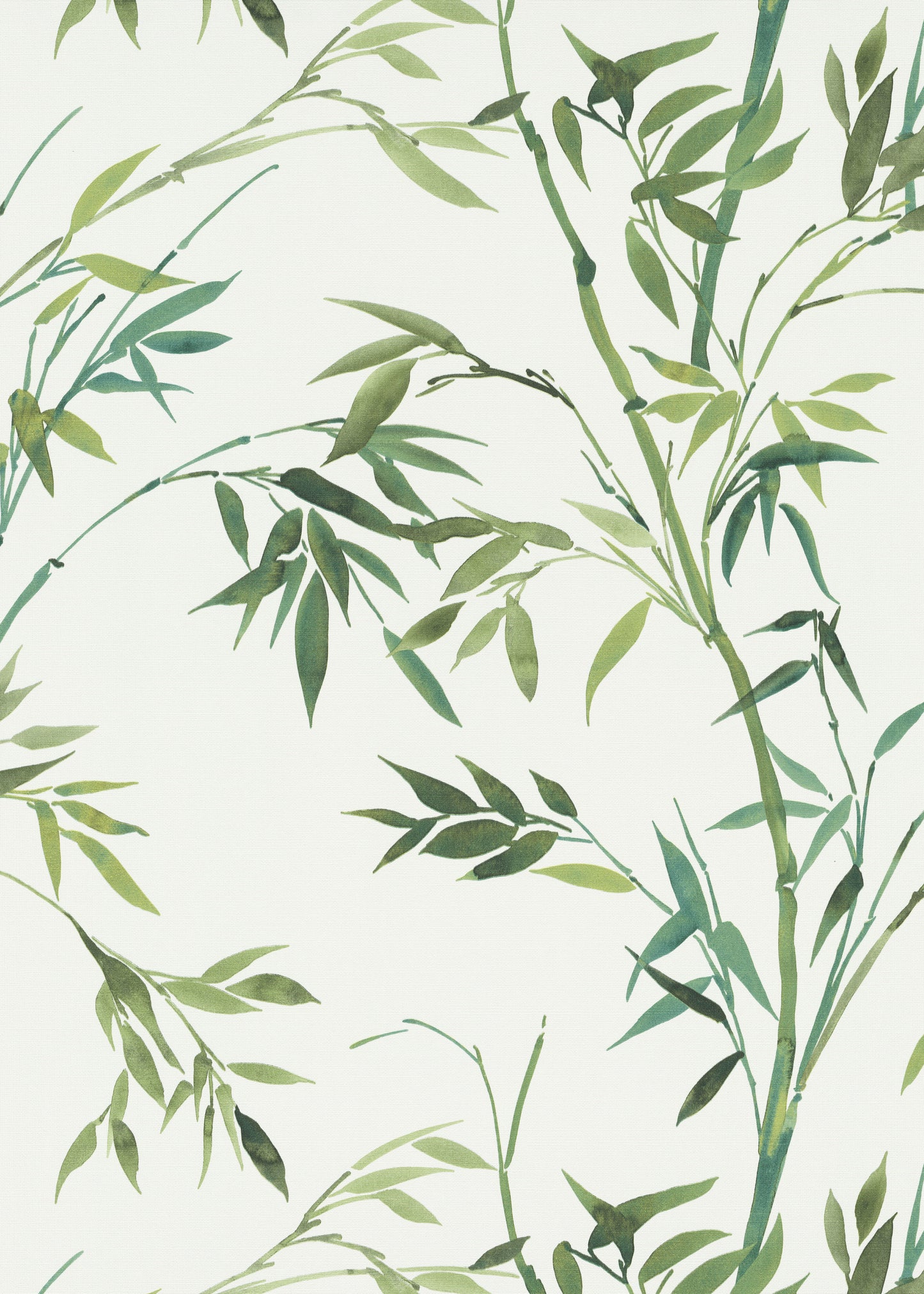 Bamboo-M