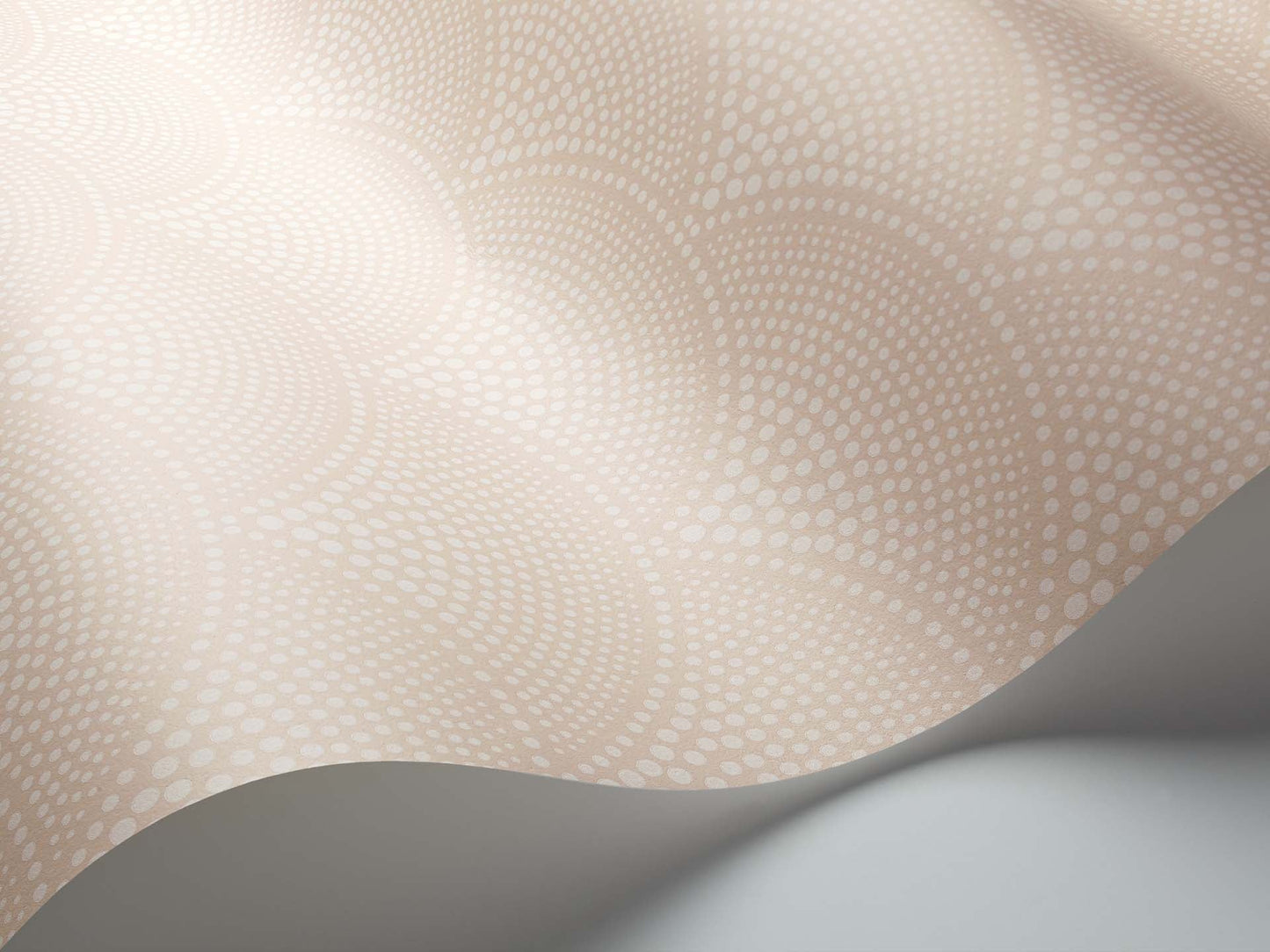 Feather Fan