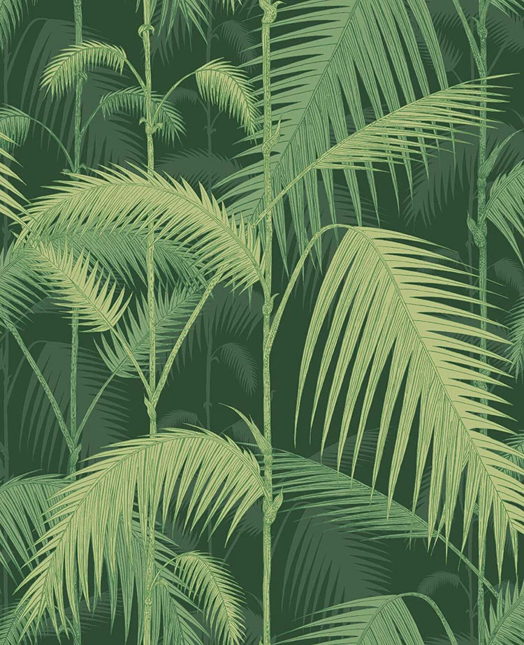 Palm Jungle