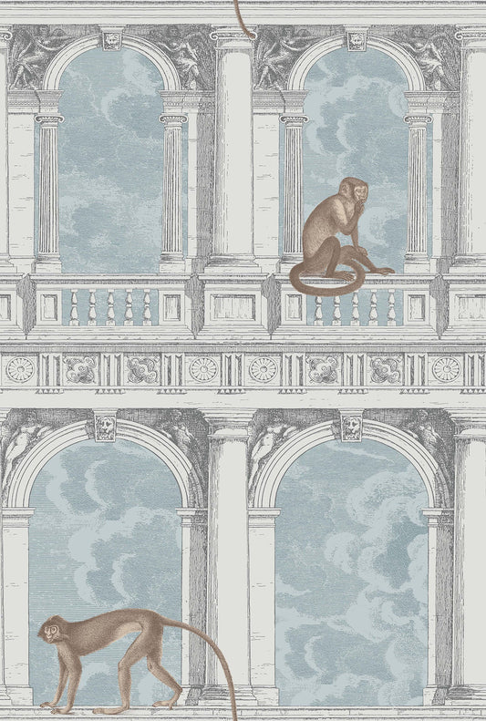 Procuratie Con Vista