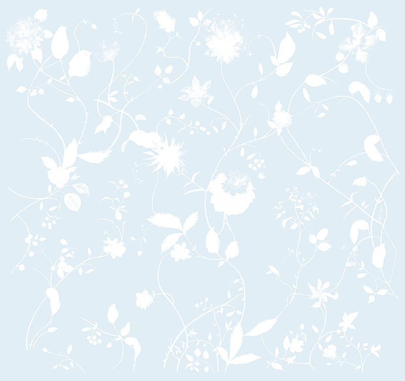 Flower Garden
