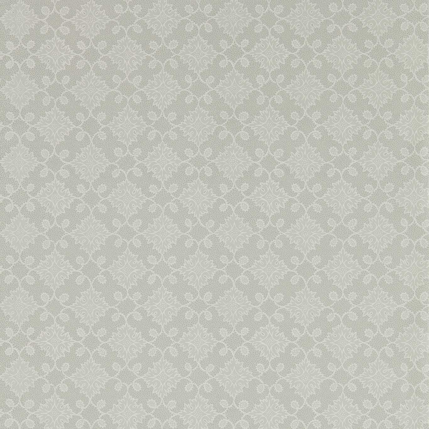Floral Tracery - Nimbus