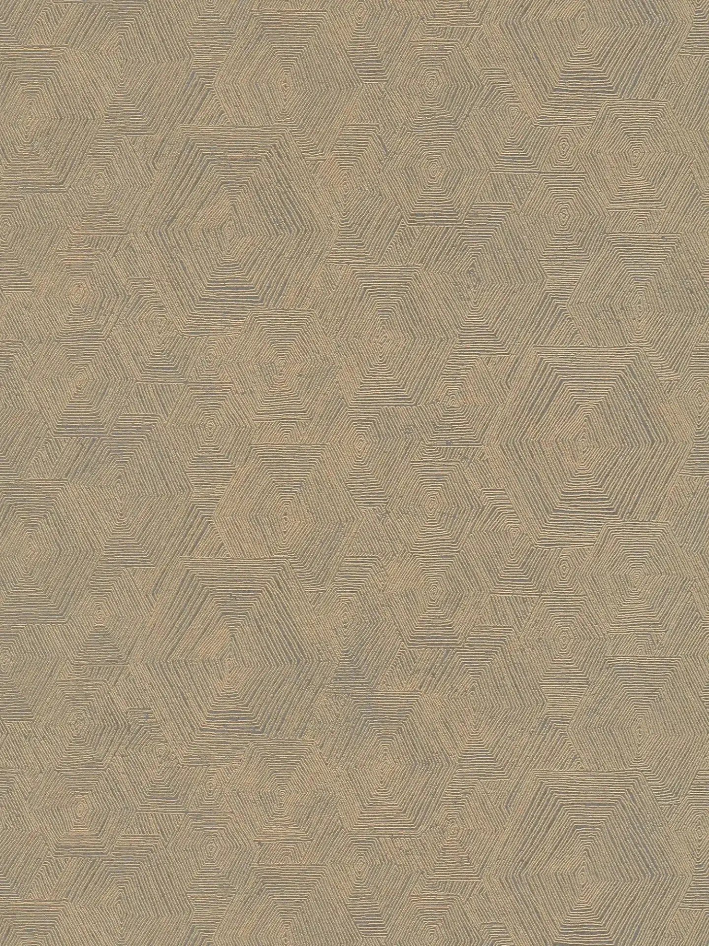 Hexagon Texture