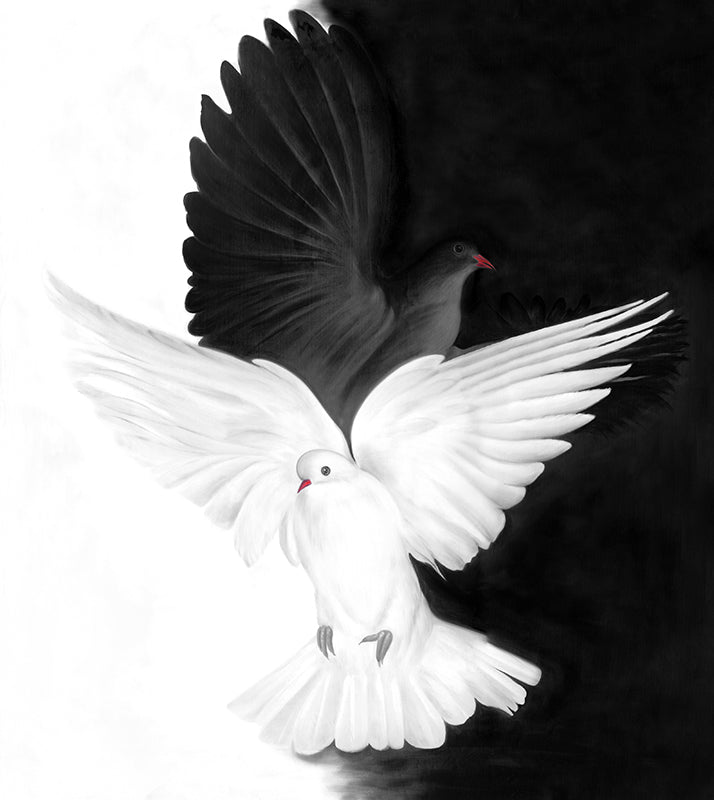 White Dove