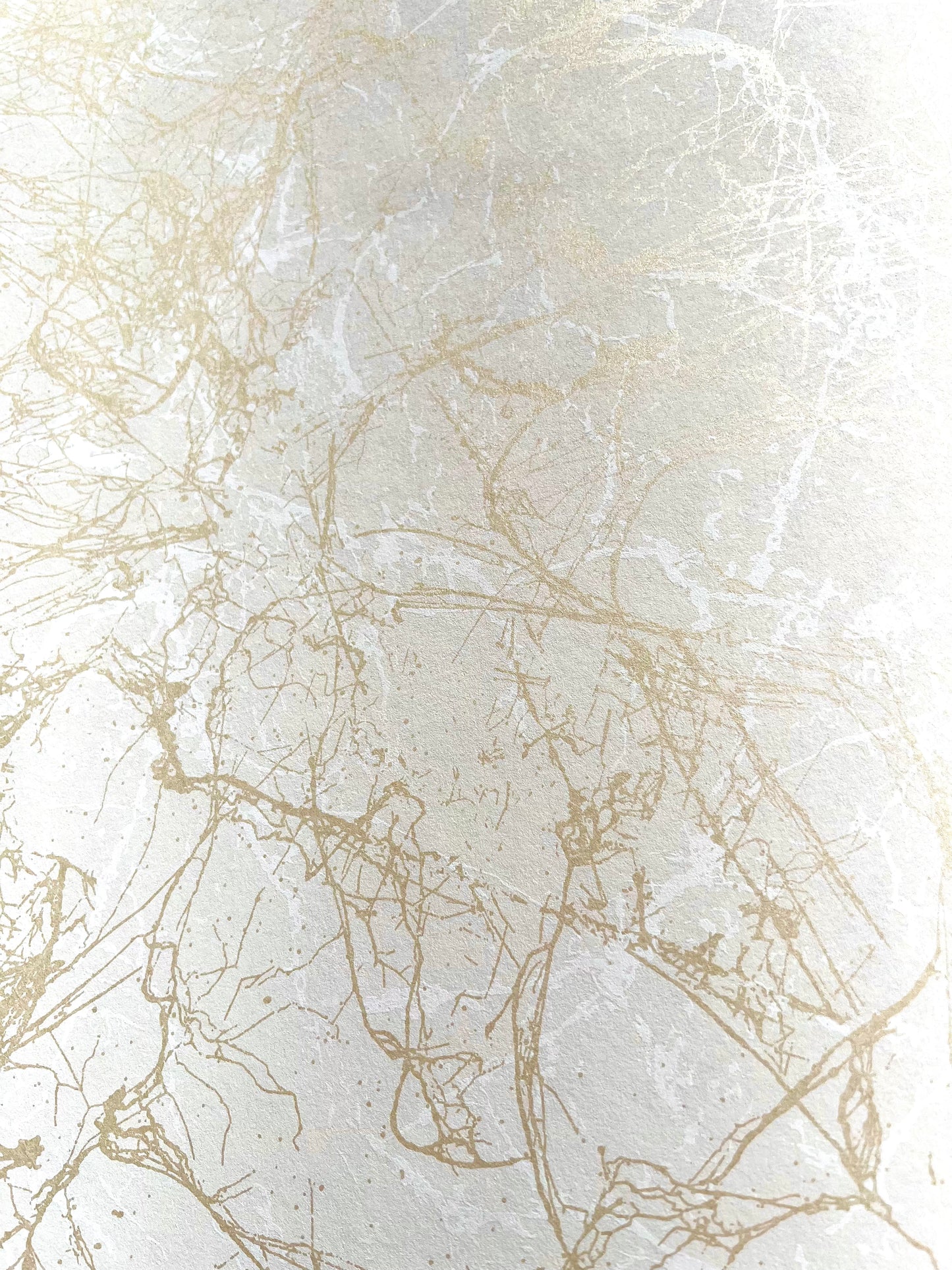 Spider Crackle