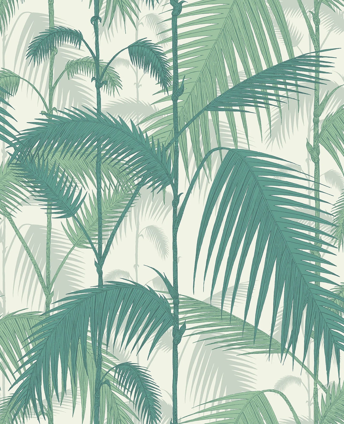 Palm Jungle