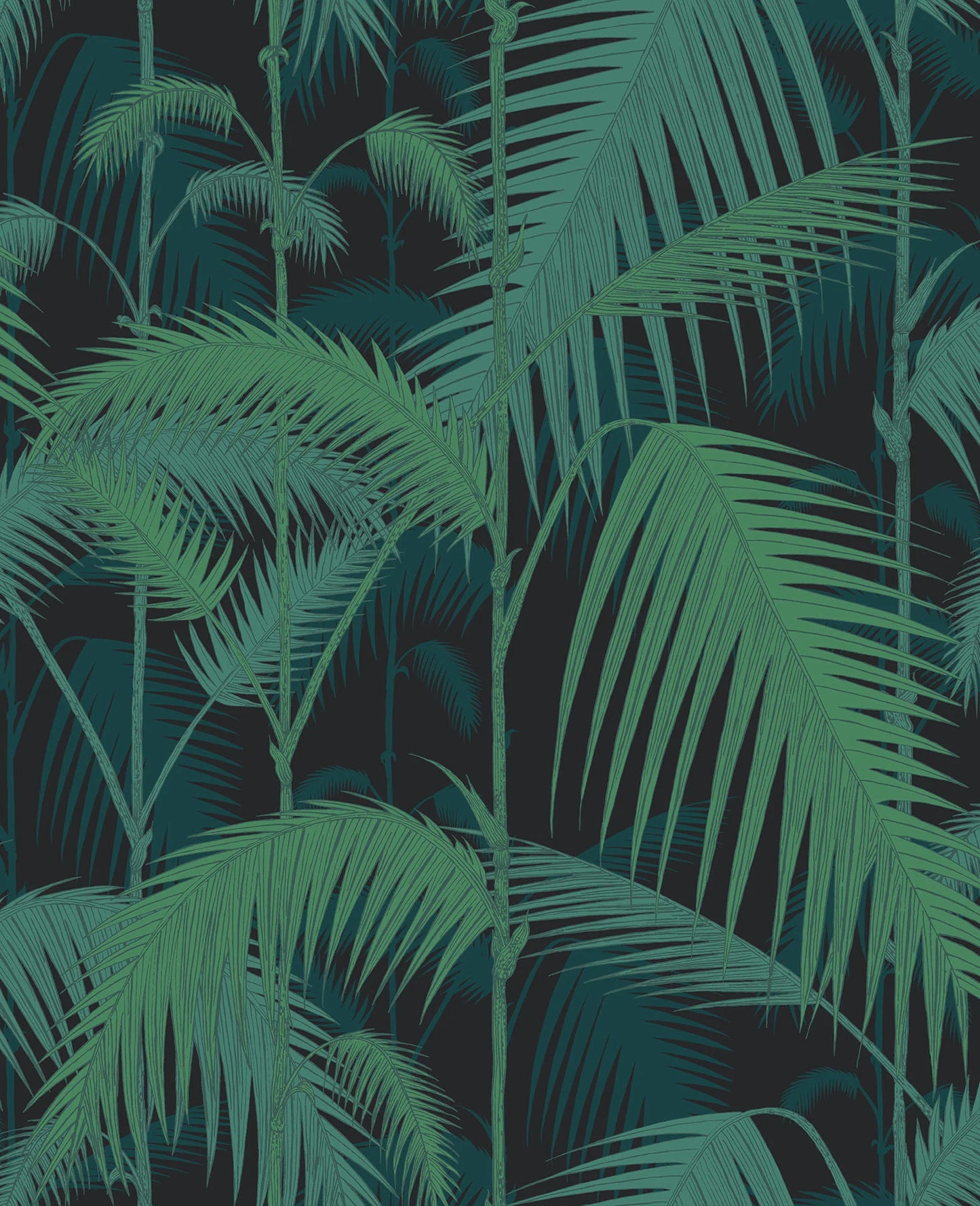Palm Jungle