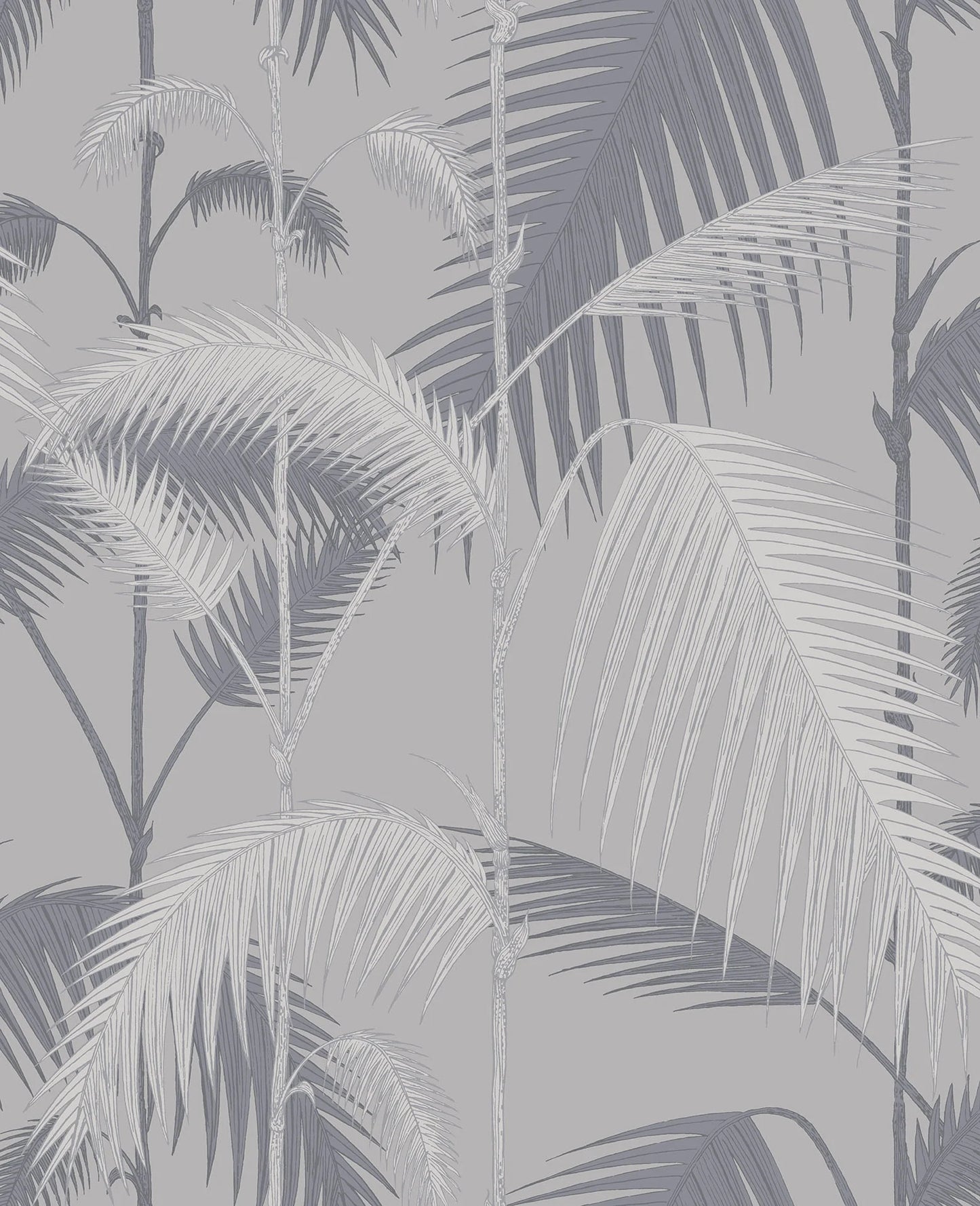 Palm Jungle