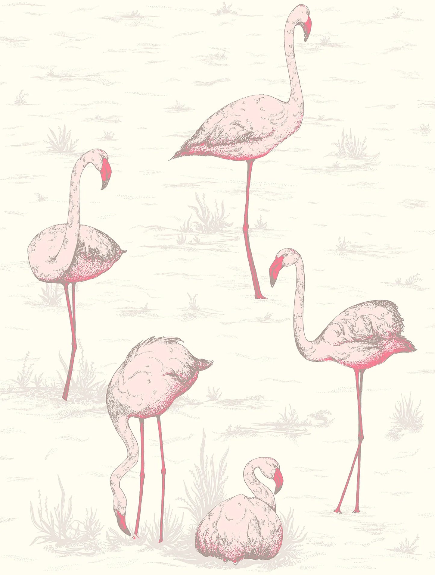 Flamingos