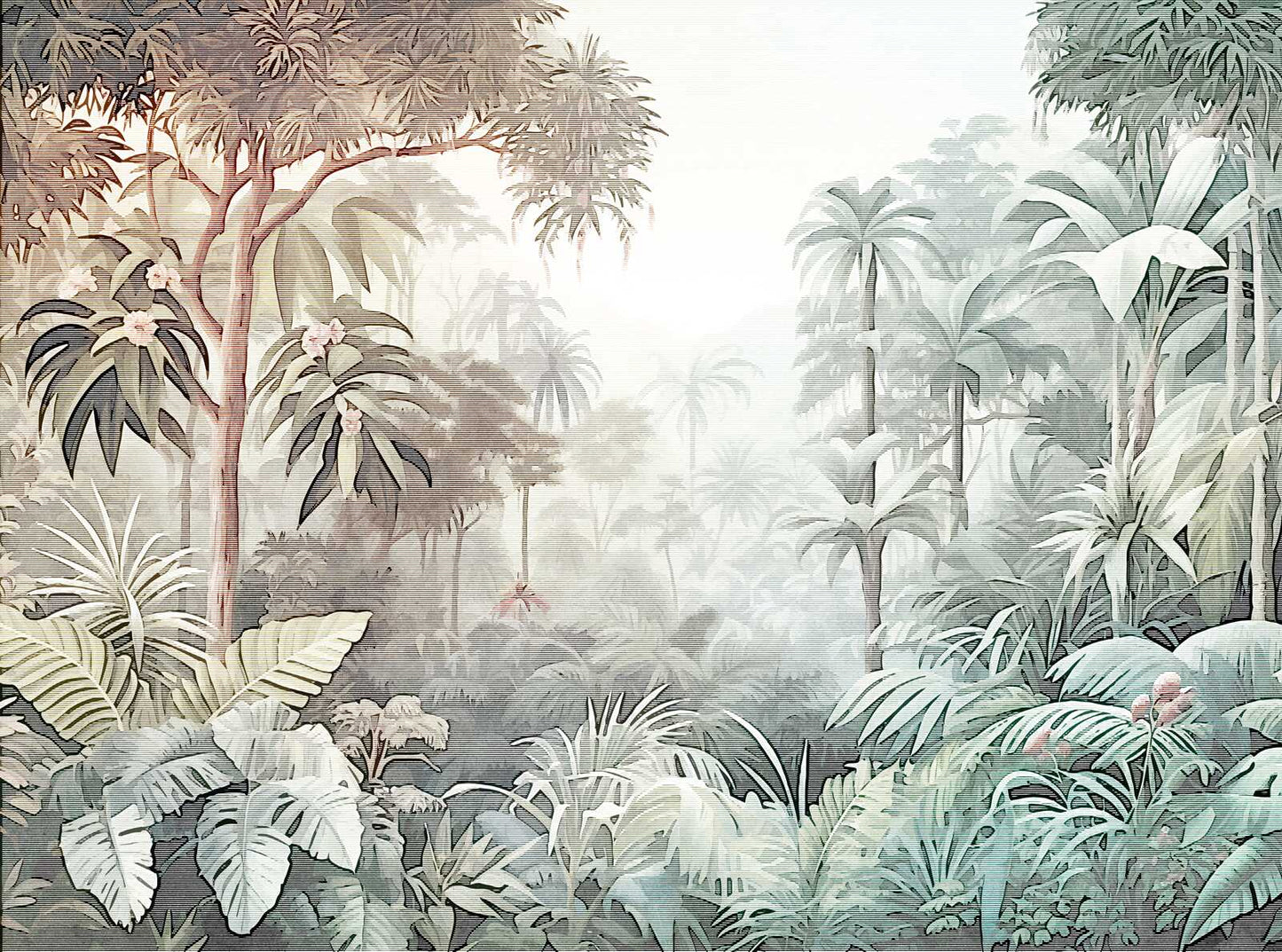 Mystical Rainforest