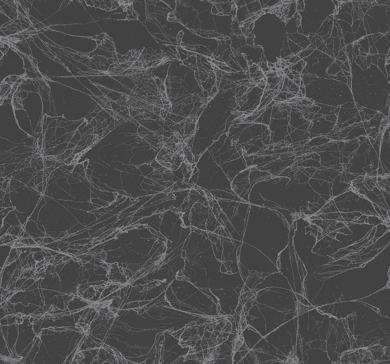 Spider Crackle