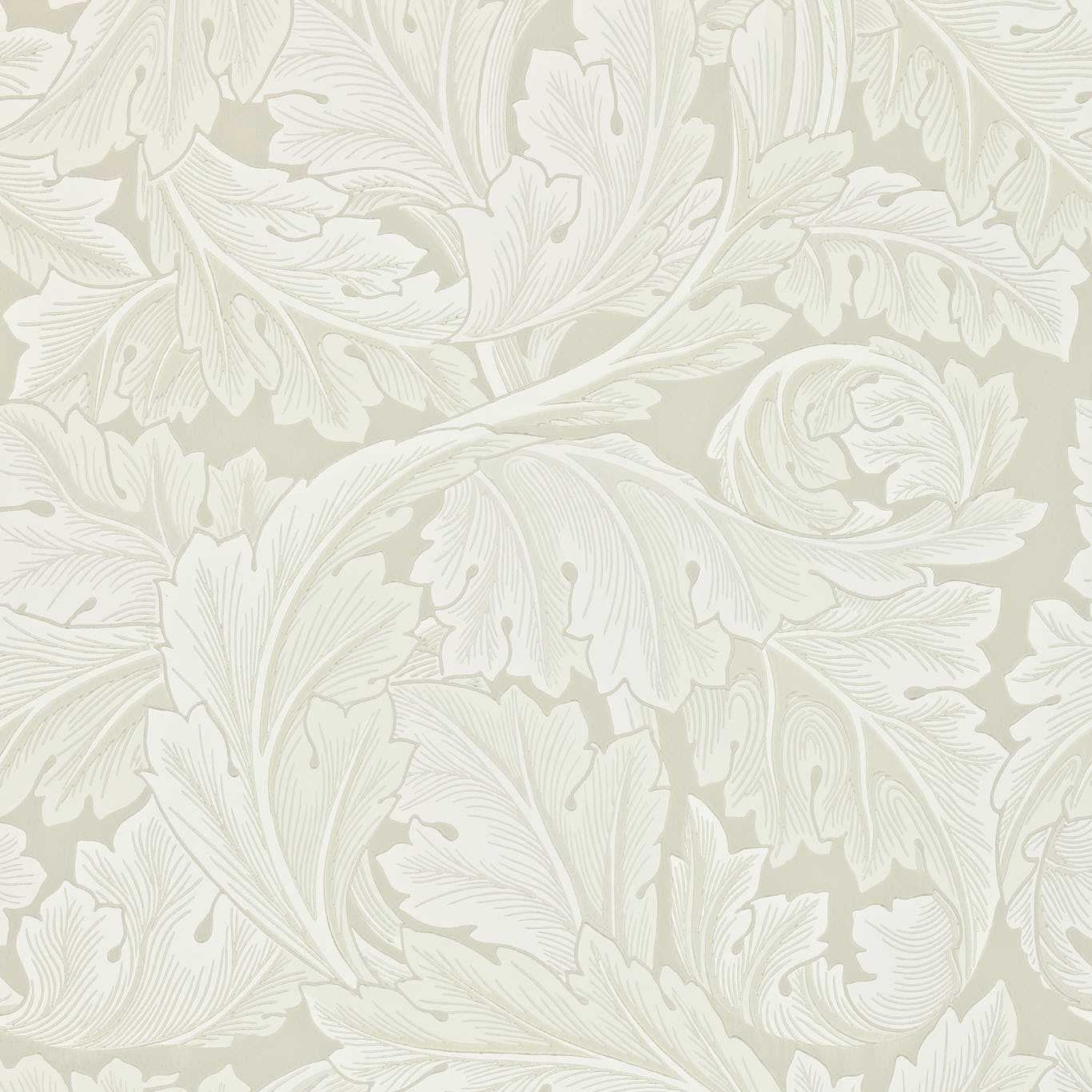Acanthus