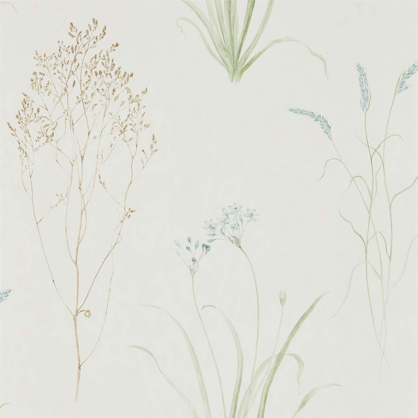FARNE GRASSES