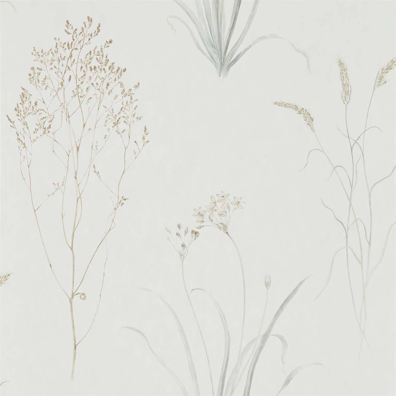 FARNE GRASSES