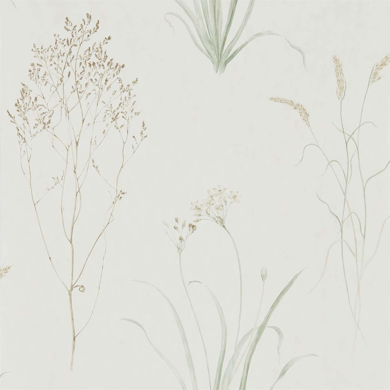 FARNE GRASSES