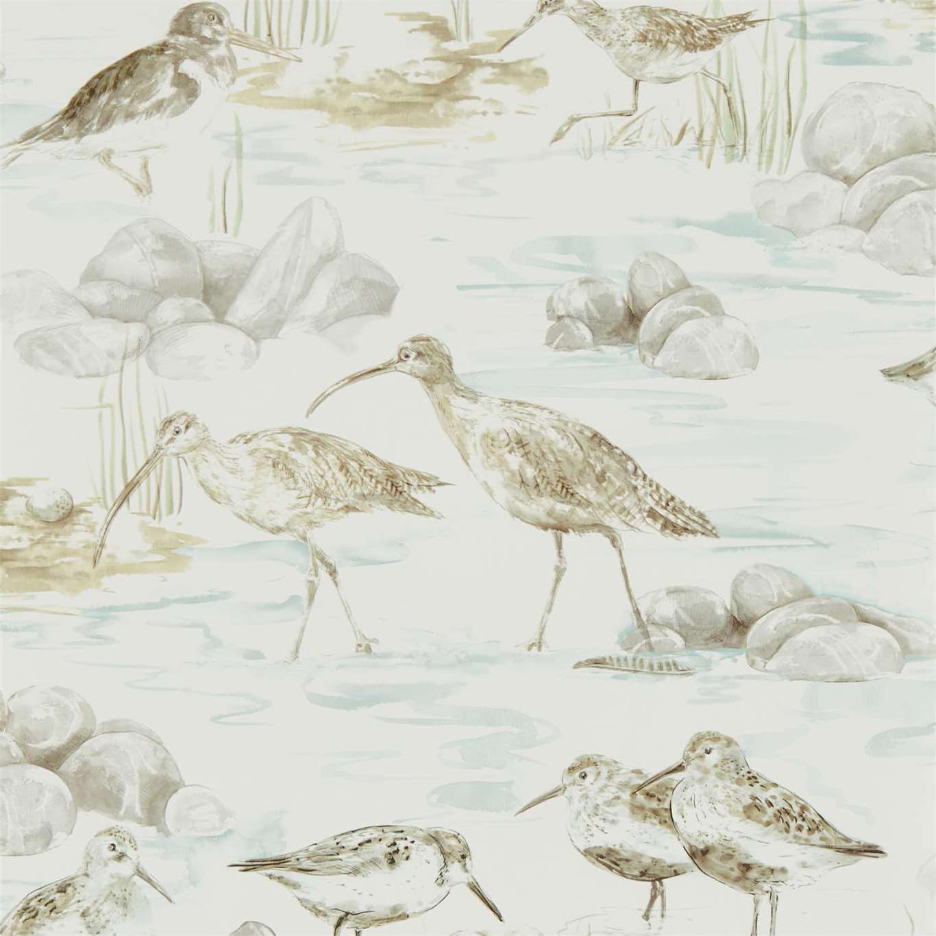 ESTUARY BIRDS