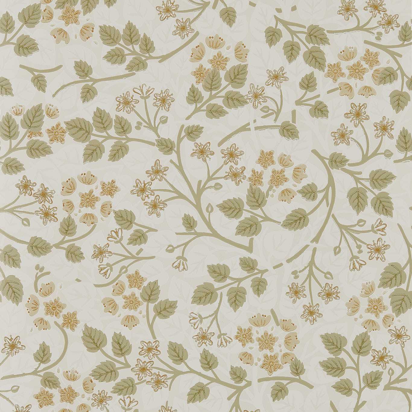SILVER LIME - Lichen