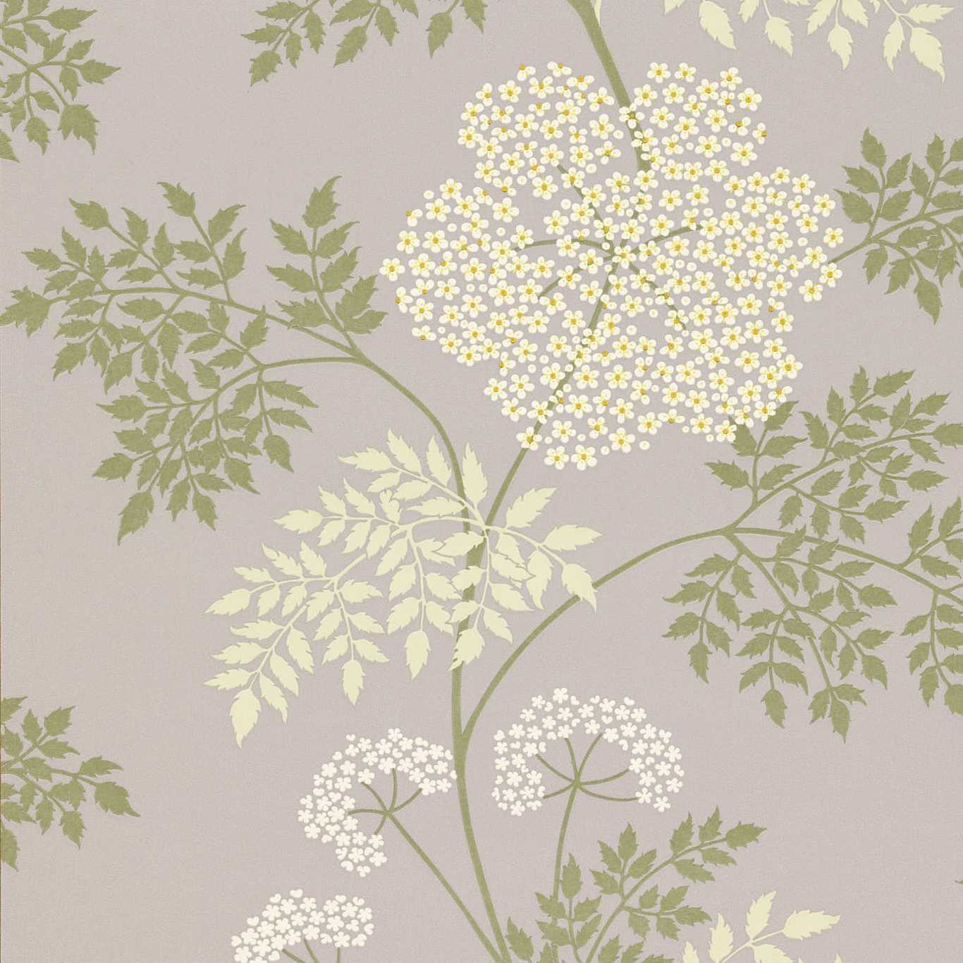 COWPARSLEY
