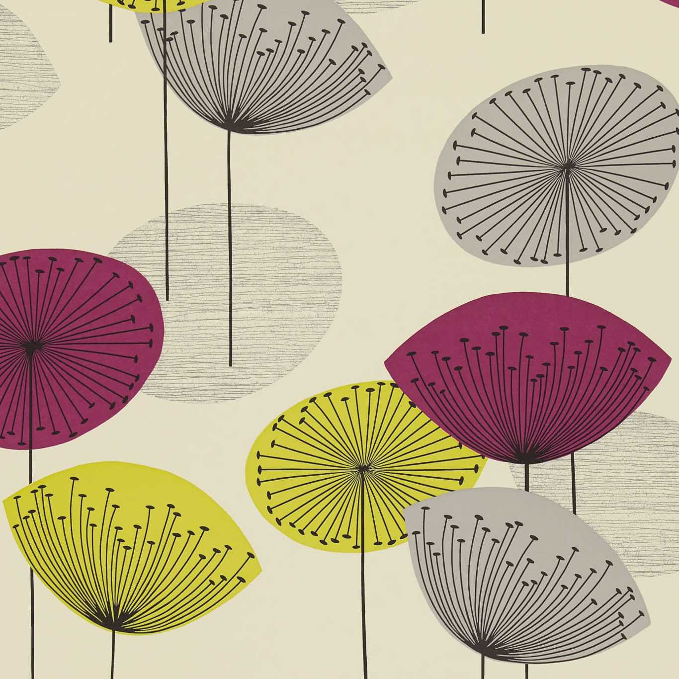 DANDELION CLOCKS