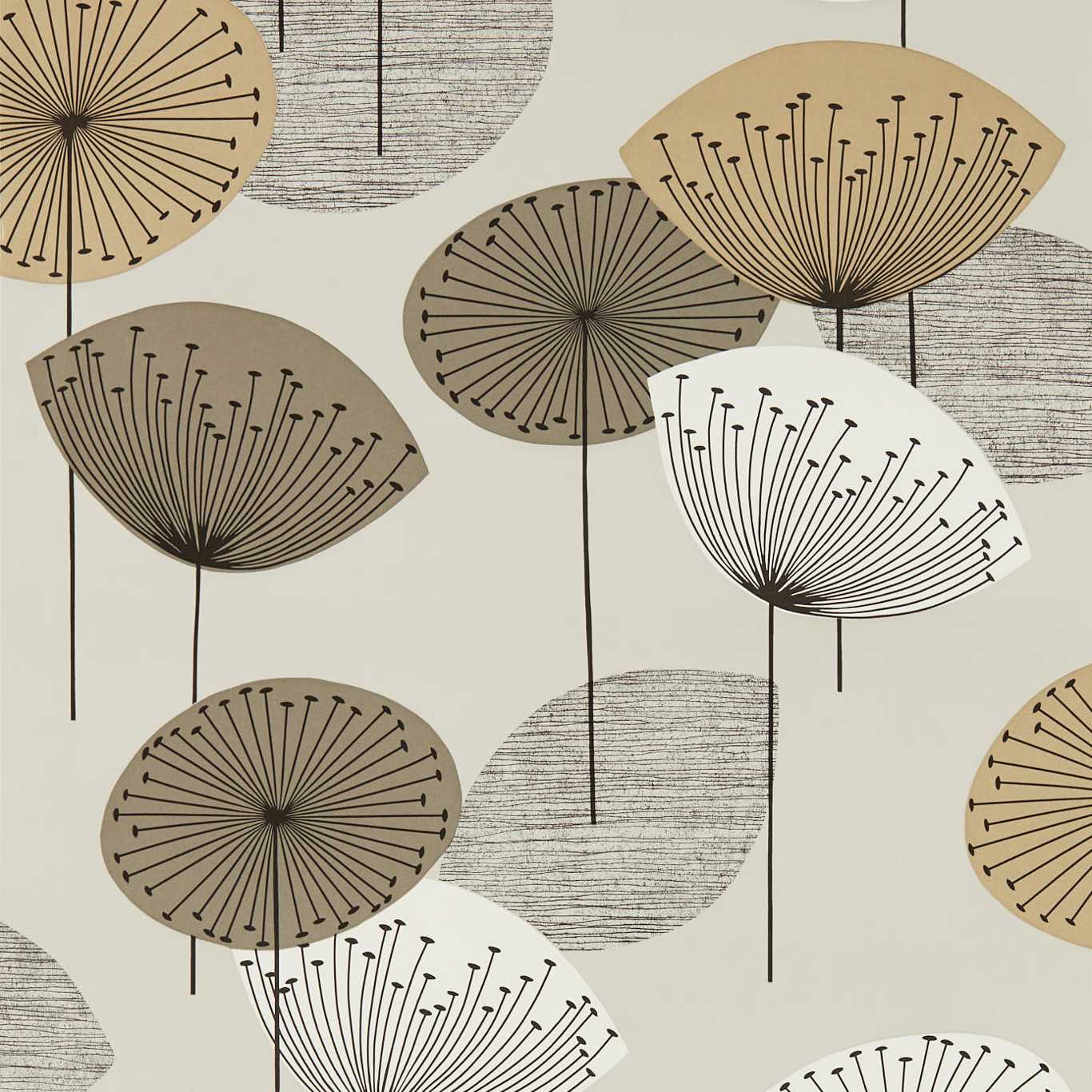 DANDELION CLOCKS