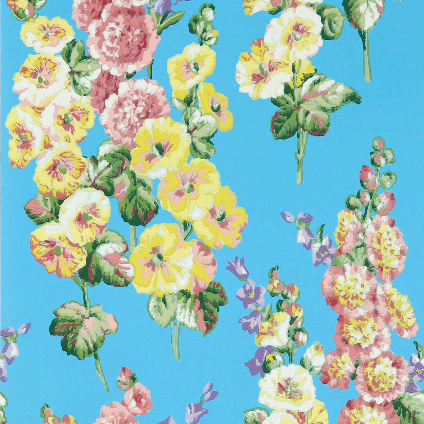 HOLLYHOCKS