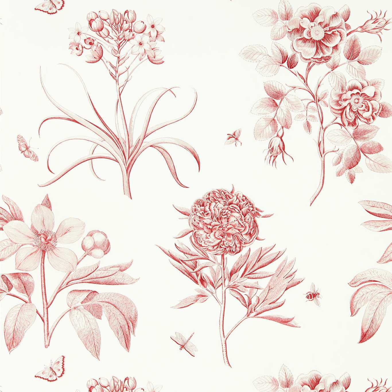 ETCHINGS & ROSES