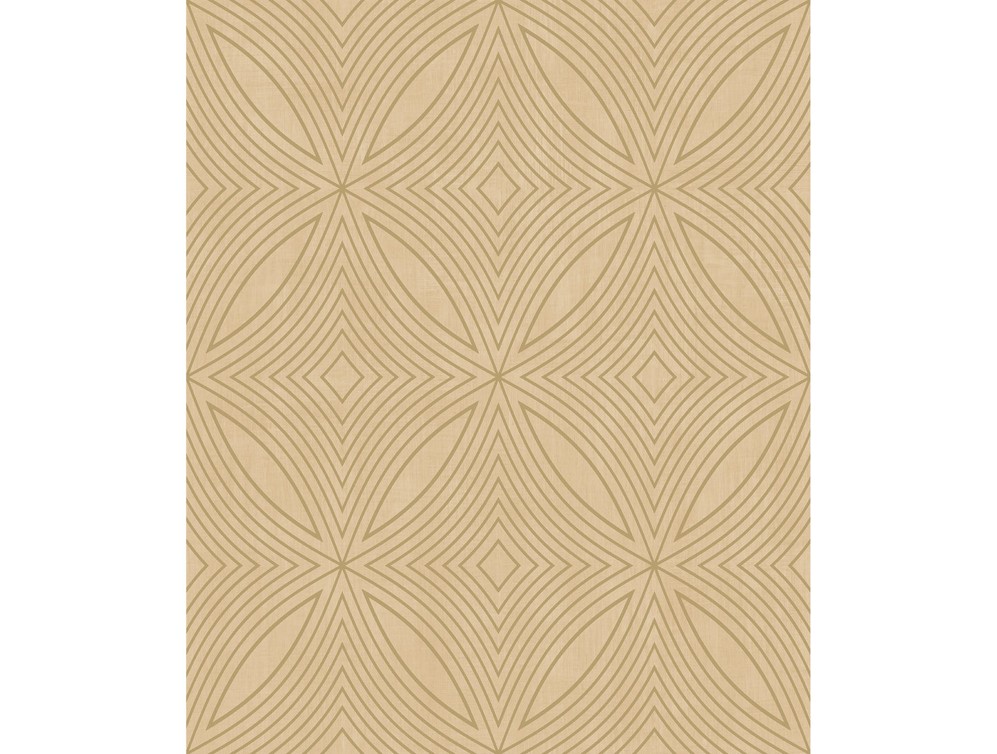 Contemporary Geometric