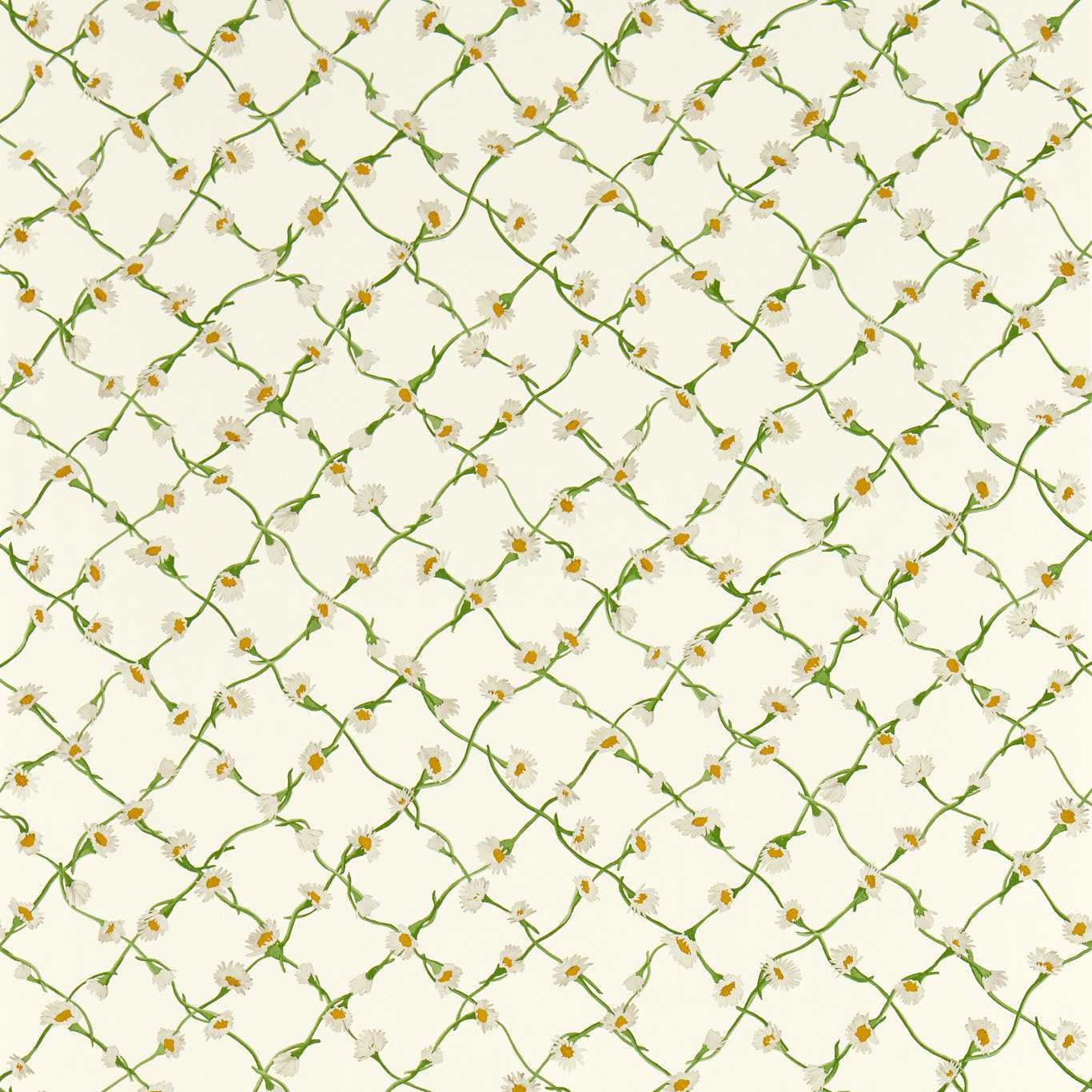 DAISY TRELLIS