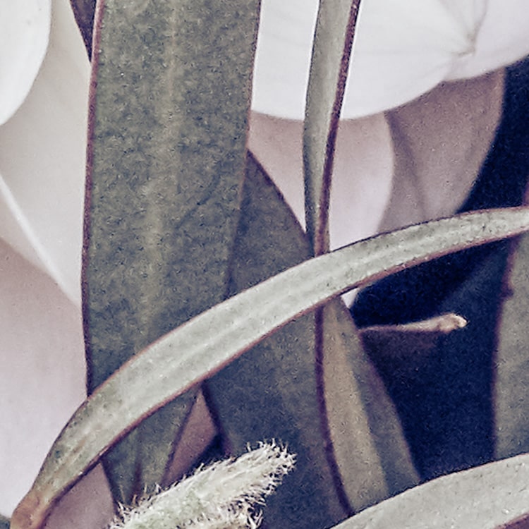 Zestful