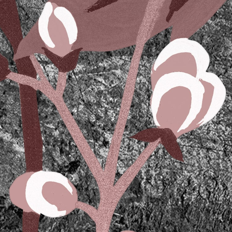 Moonlight Flowers