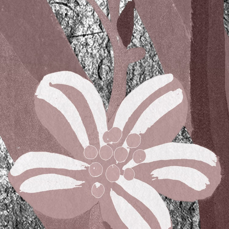Moonlight Flowers