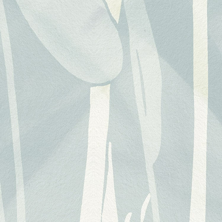 Reed