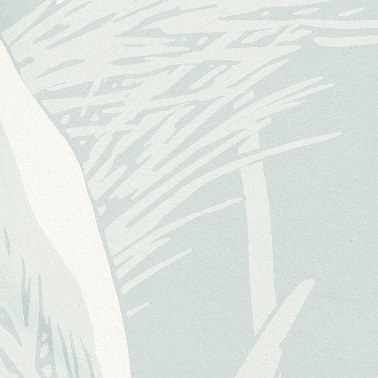 Reed