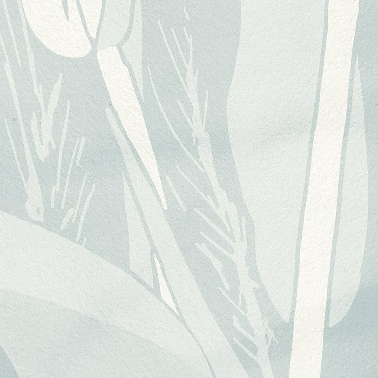 Reed