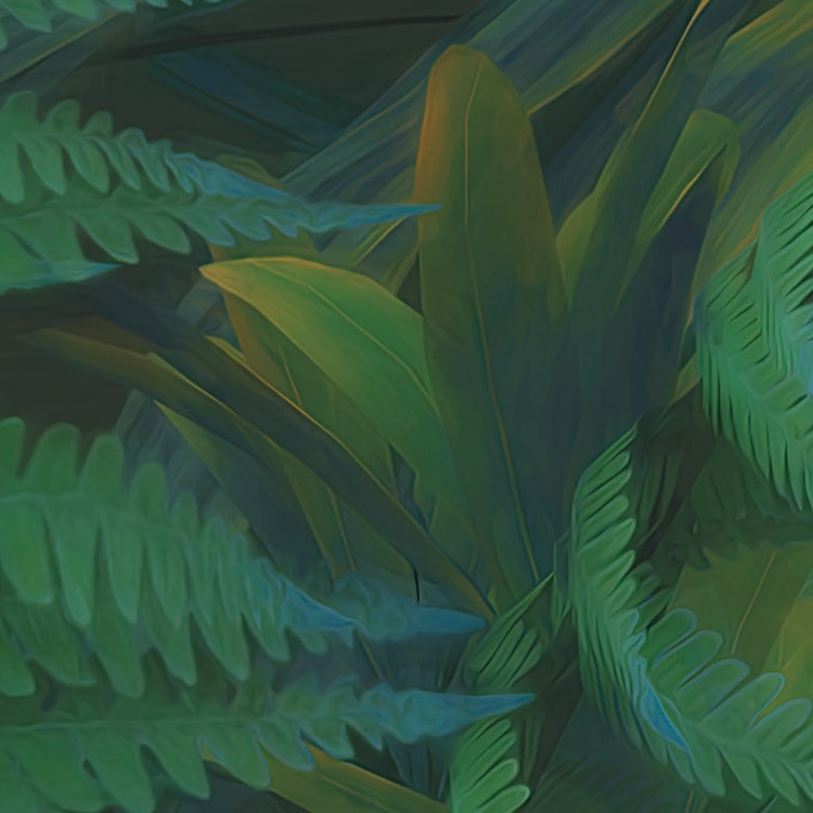 Jungle Morning