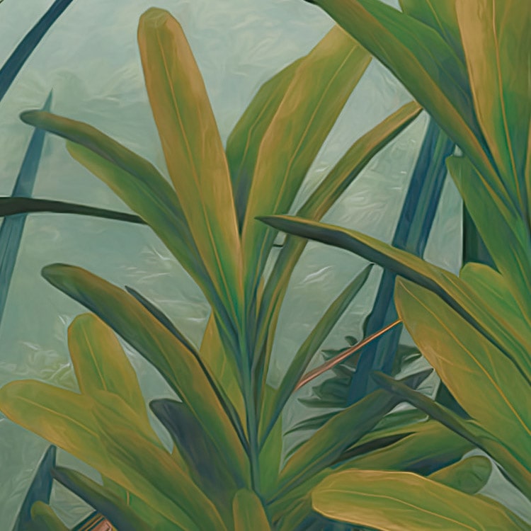 Jungle Morning