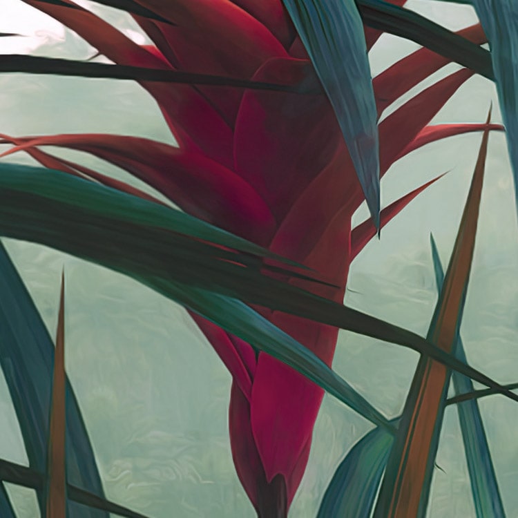 Jungle Morning