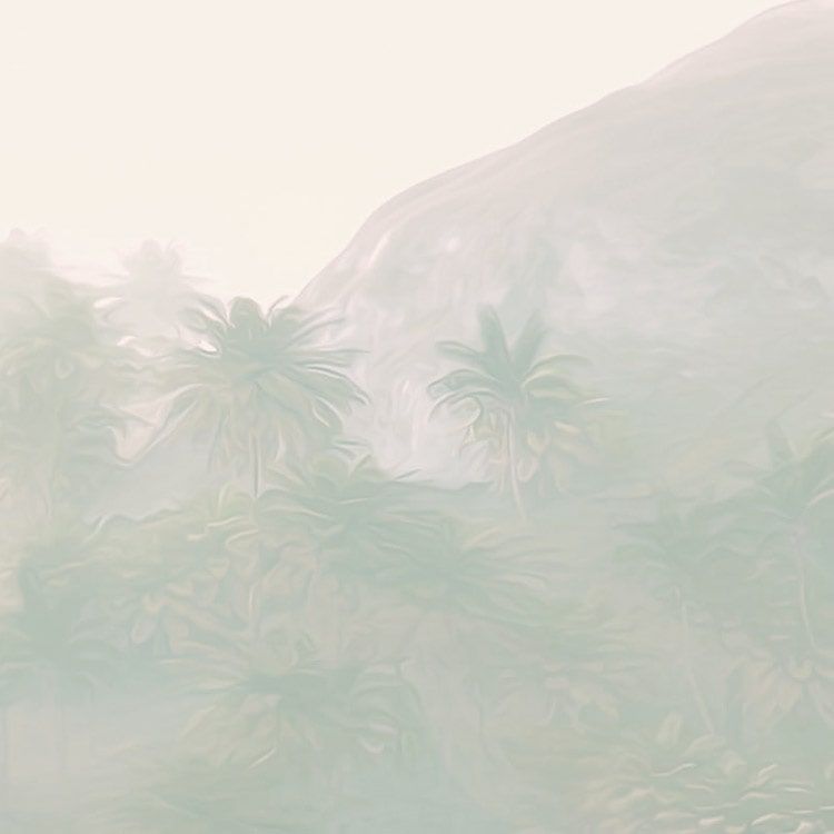 Jungle Morning