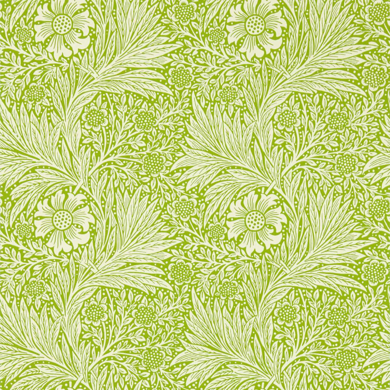 MARIGOLD