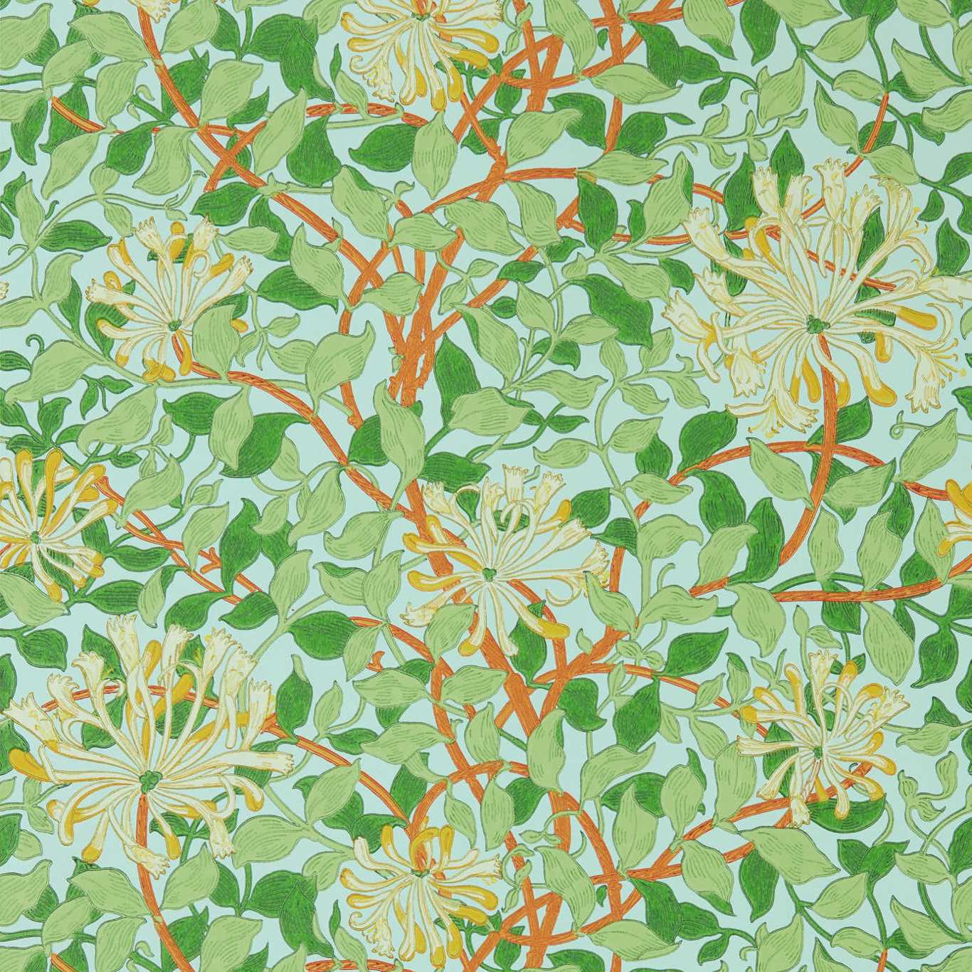 HONEYSUCKLE