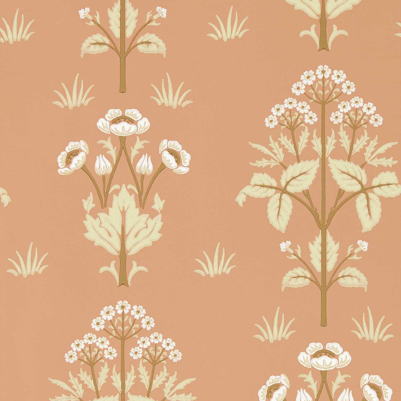 MEADOW SWEET