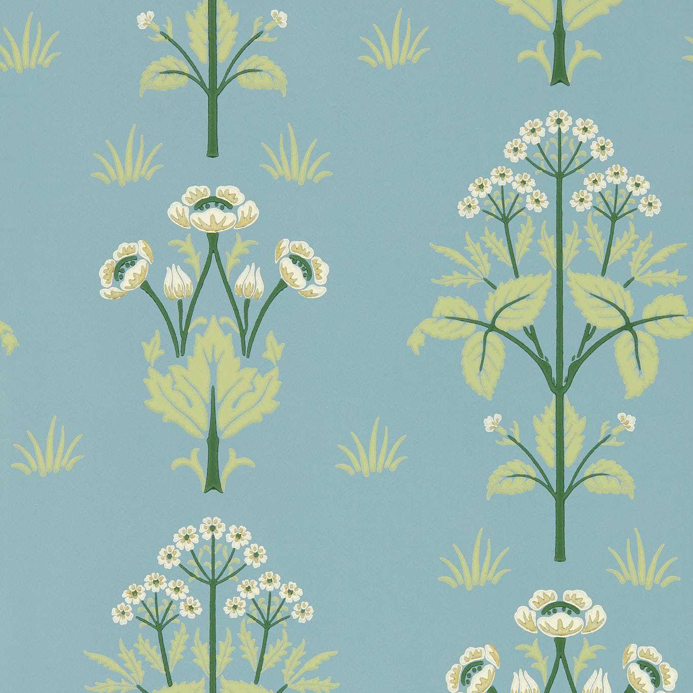 MEADOW SWEET