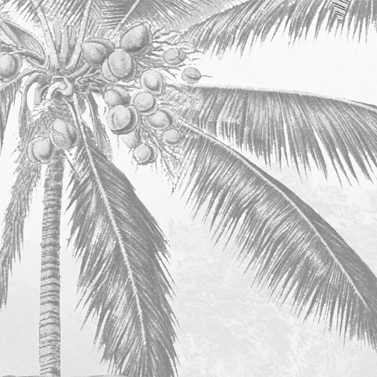 Amazonia Black and White