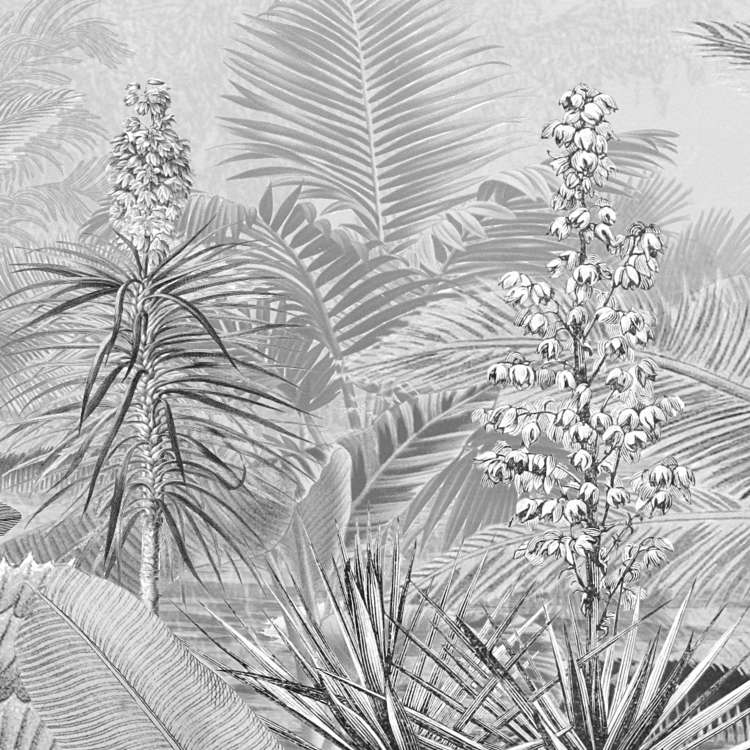 Amazonia Black and White