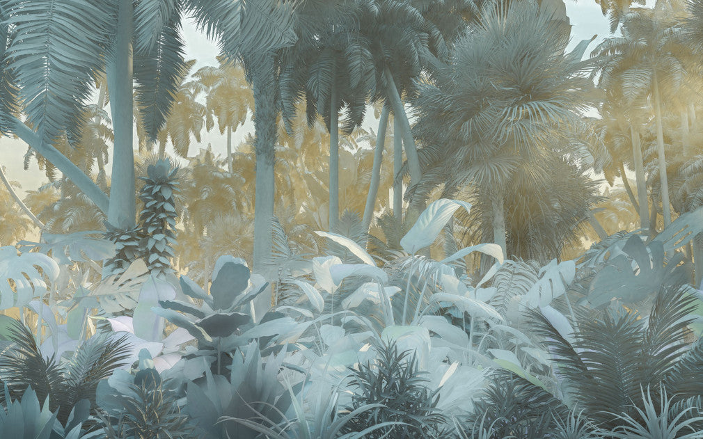 Misty Jungle
