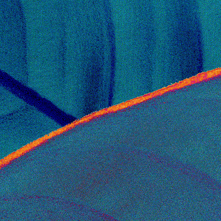 Foliage