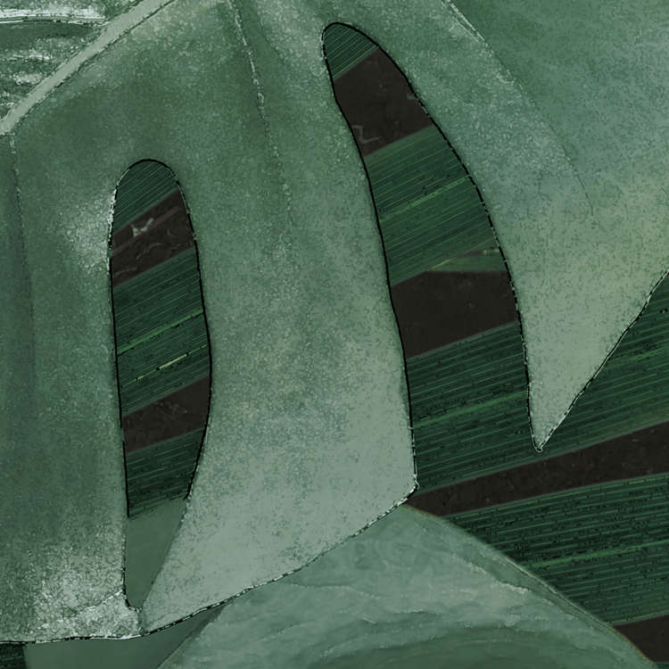 Monstera on Marble