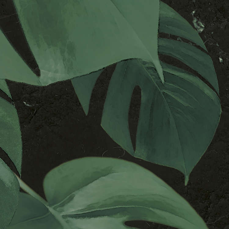 Monstera on Marble